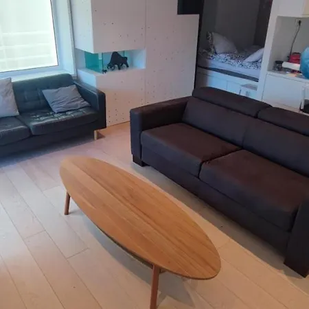 Artissimo Roofterace Apartment *